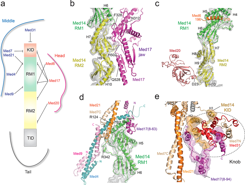 Figure 3.