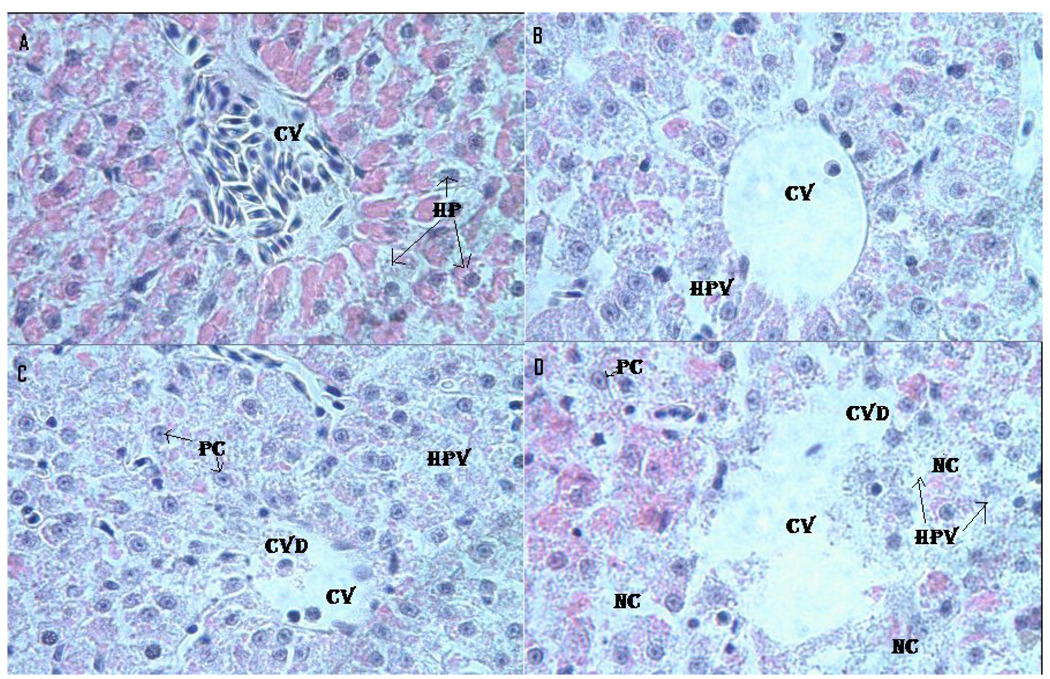 Fig. 5