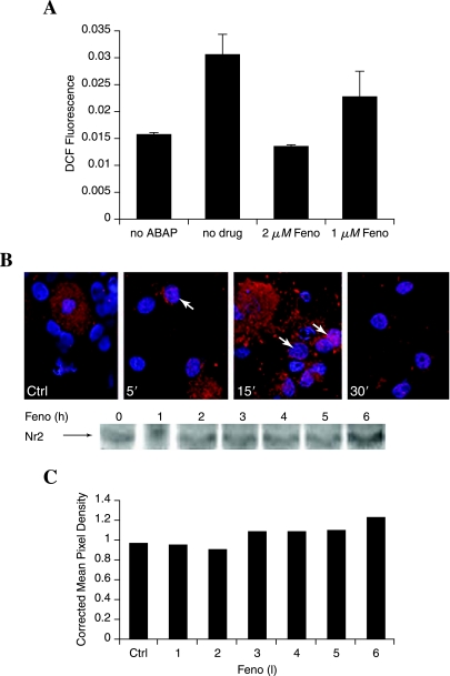 FIG. 9.