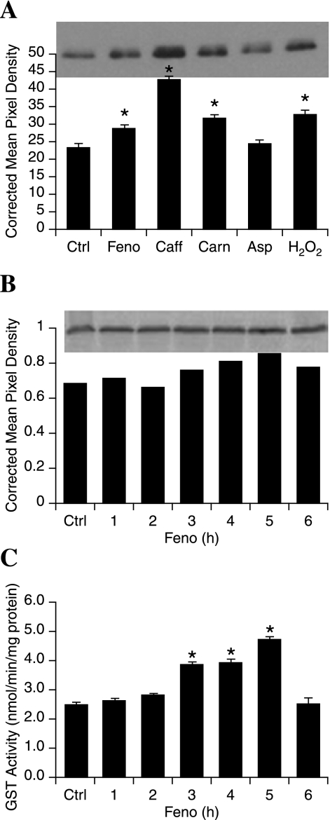 FIG. 10.