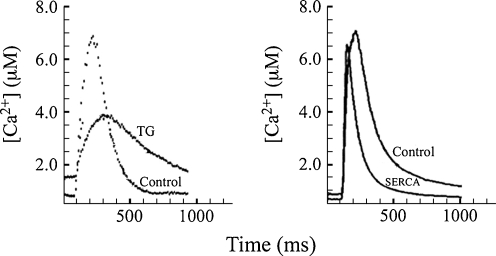 Fig. 6