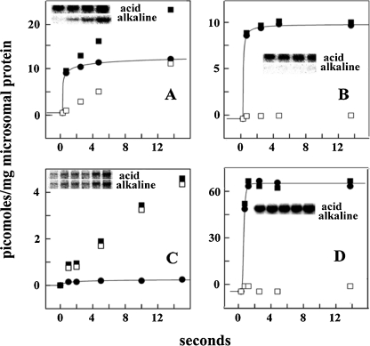 Fig. 8