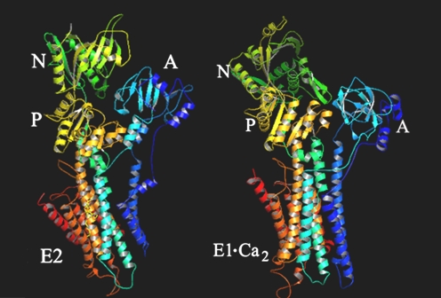 Fig. 3