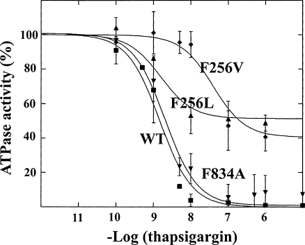 Fig. 5