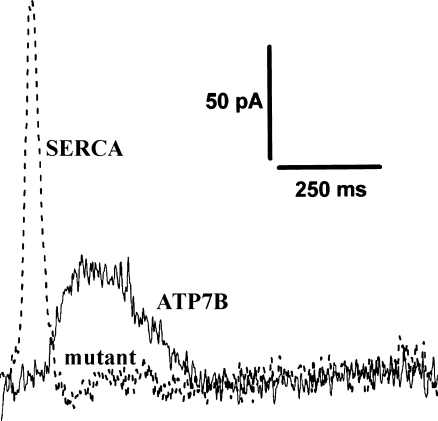 Fig. 10