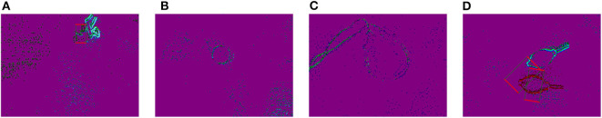 Figure 11