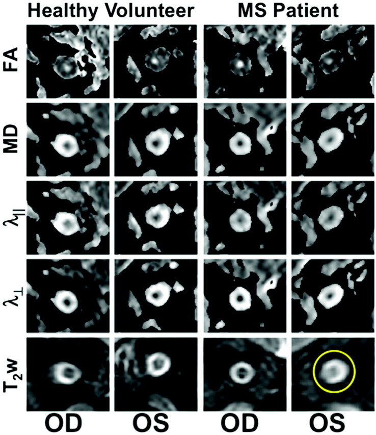 Fig 1.