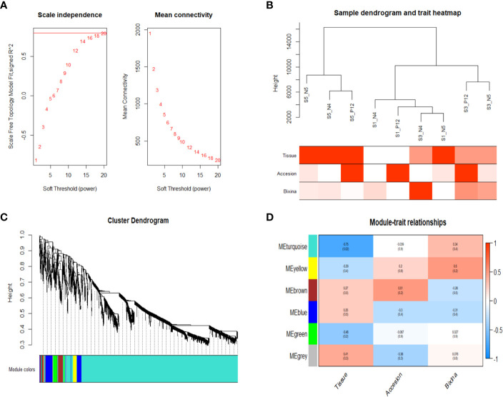 Figure 3