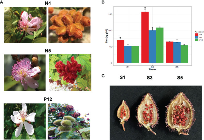 Figure 1