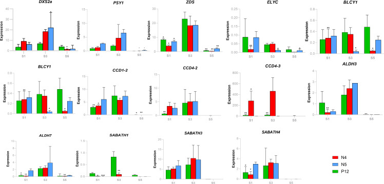 Figure 6