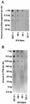 FIG. 6