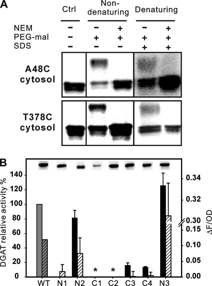 FIGURE 7.