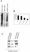 FIG.5.