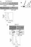 FIG.4.