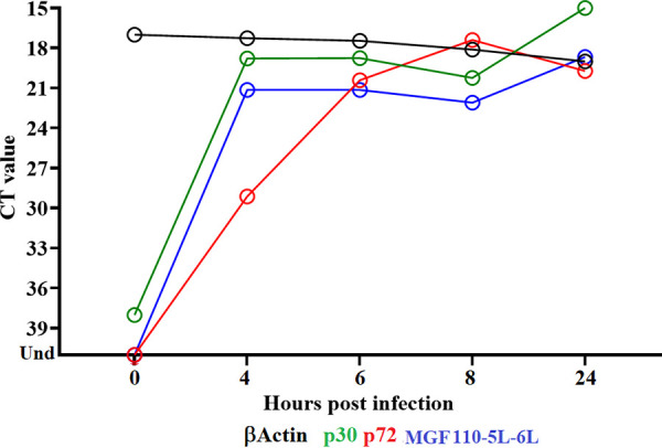 FIG 2