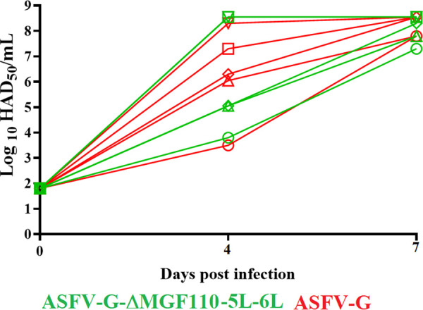 FIG 6