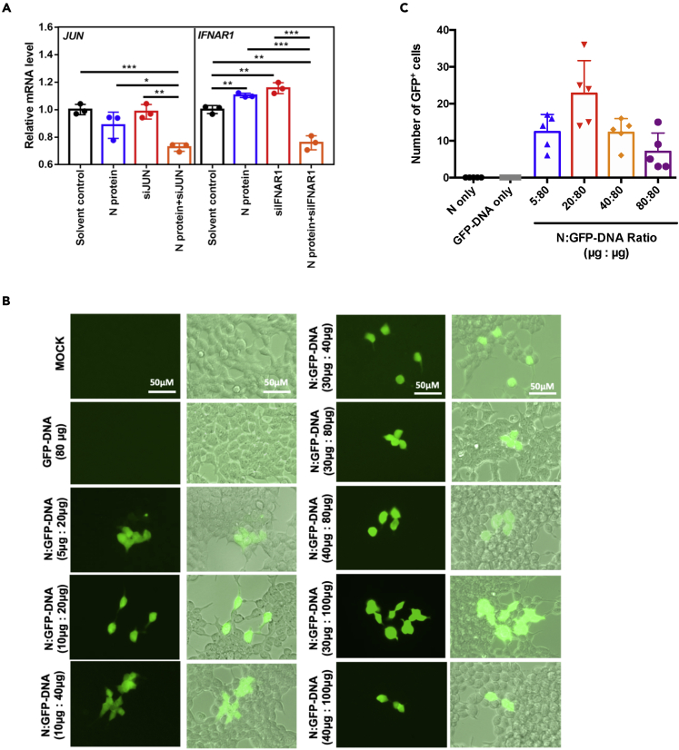 Figure 3