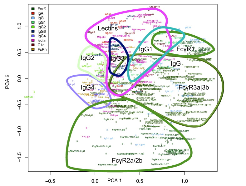 Fig. 7: