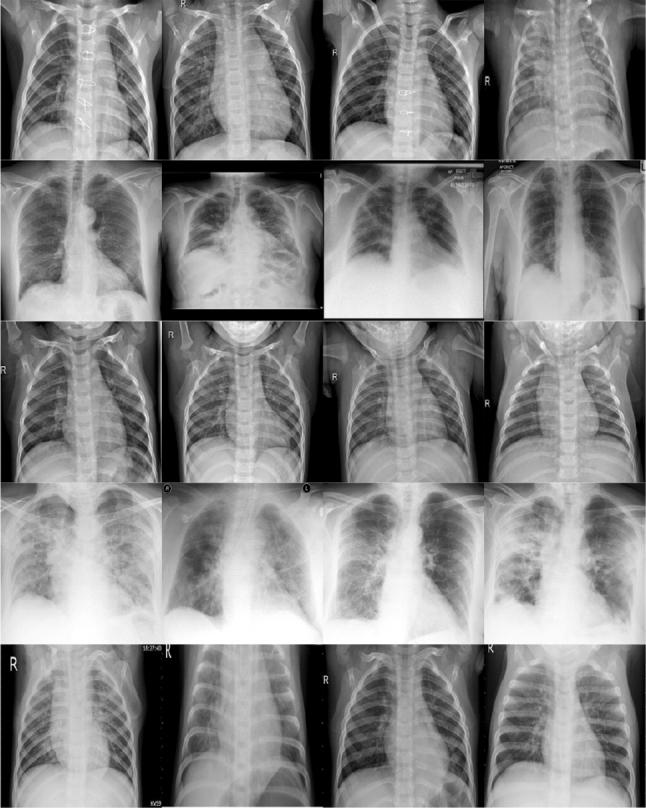 Fig. 4