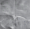 Fig. 10