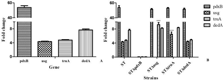 Figure 4