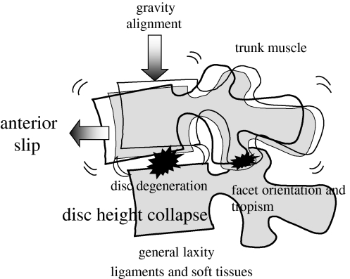 Fig. 7