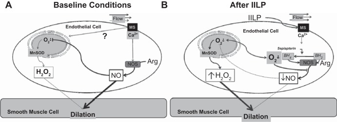 Fig. 5.