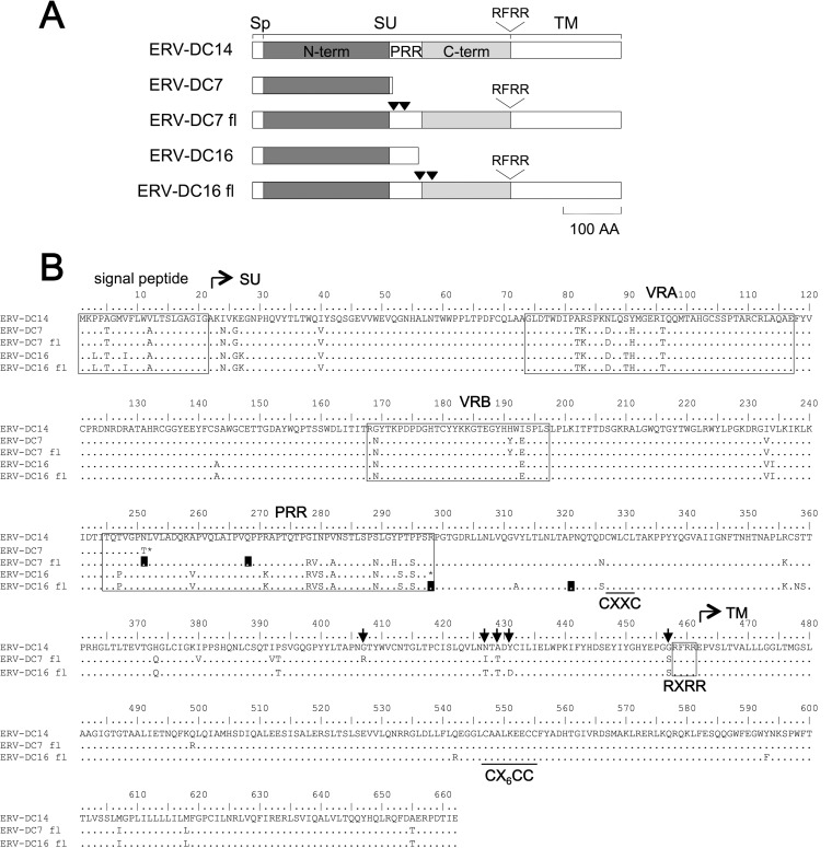 FIG 1