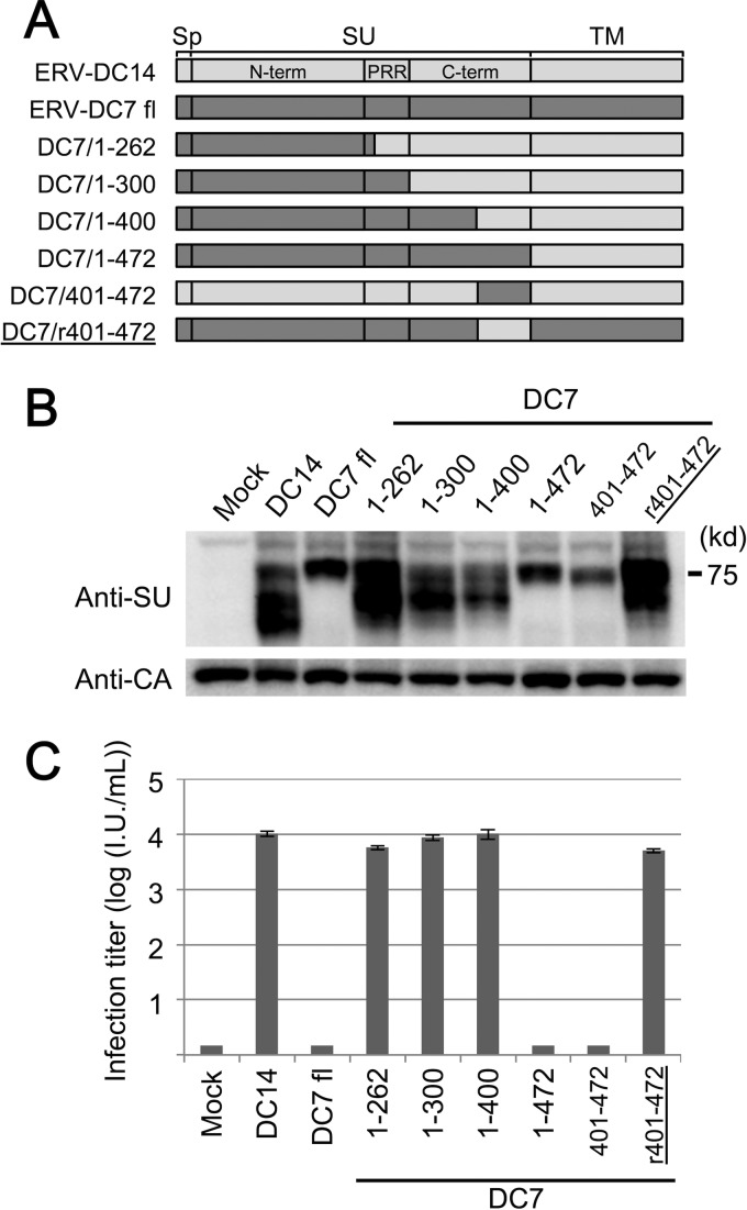 FIG 6