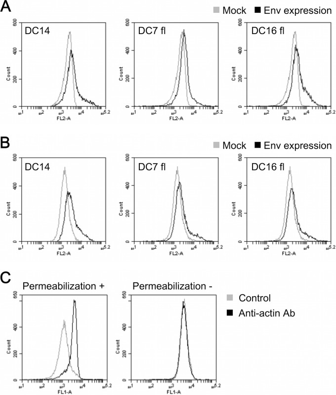 FIG 4