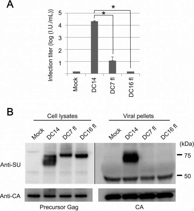 FIG 2