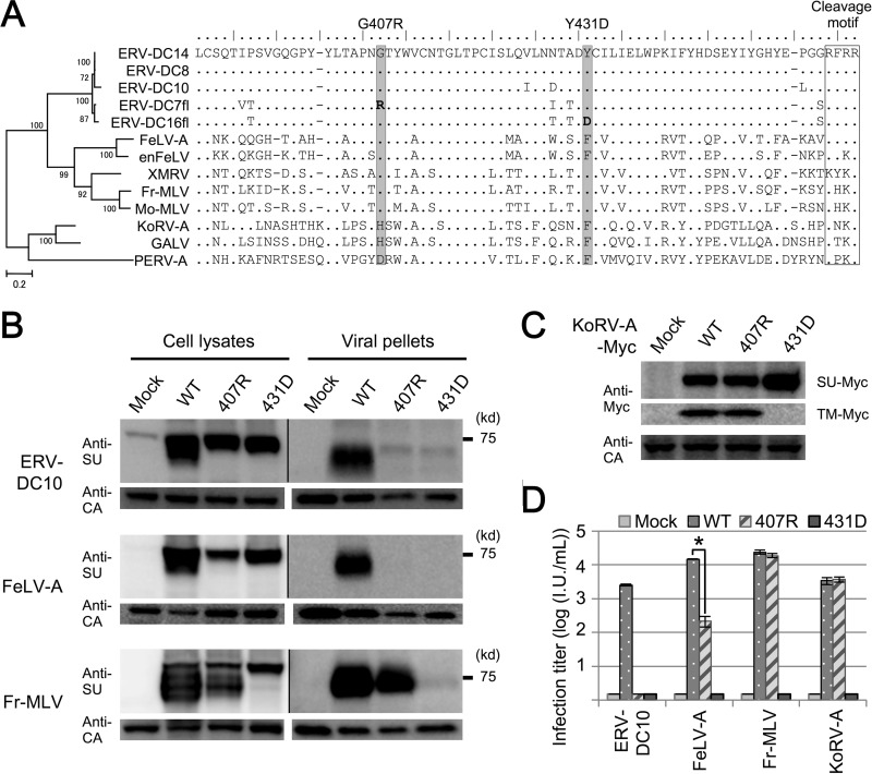 FIG 8