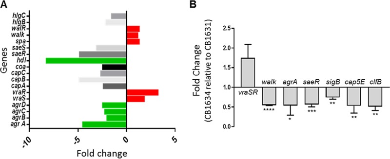 FIG 2