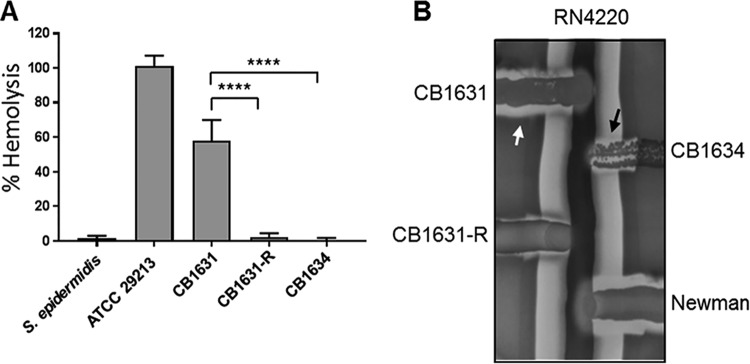 FIG 3