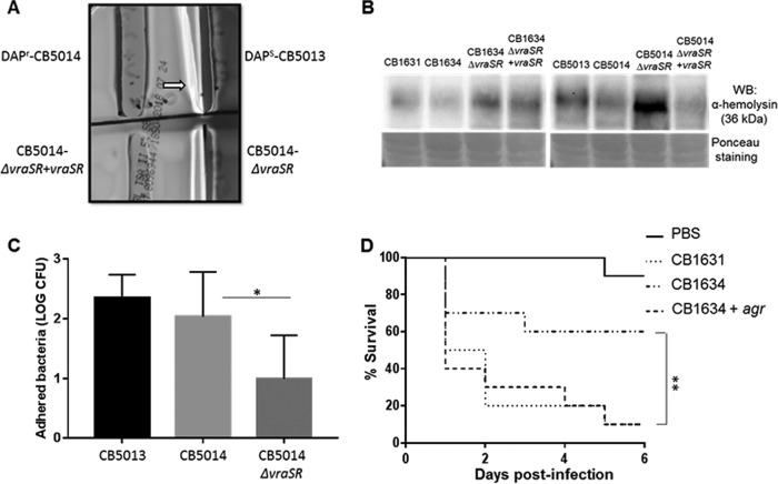 FIG 6