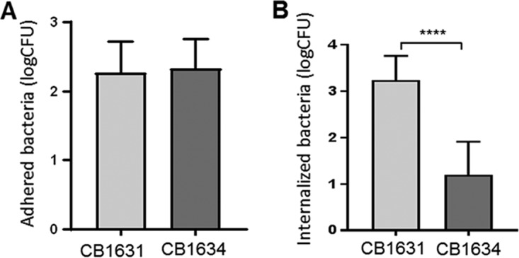 FIG 1