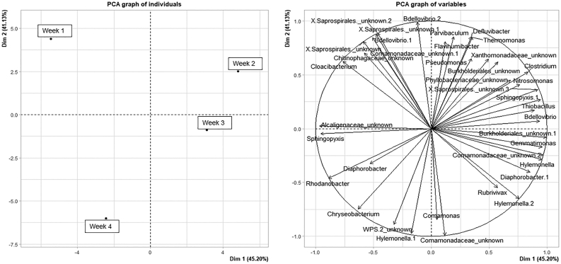 Figure 6