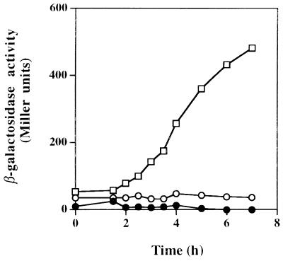 FIG. 5