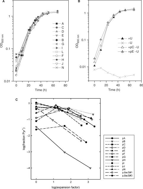 Figure 3.