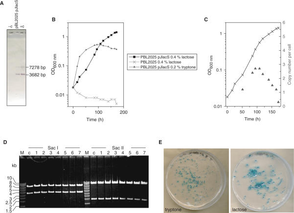 Figure 6.