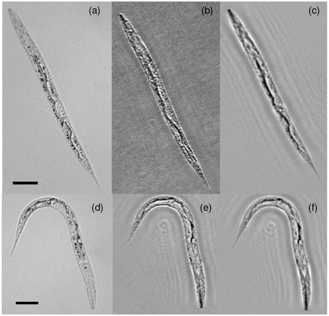 Fig. 4