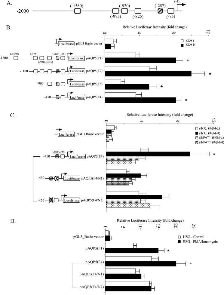 FIGURE 5.