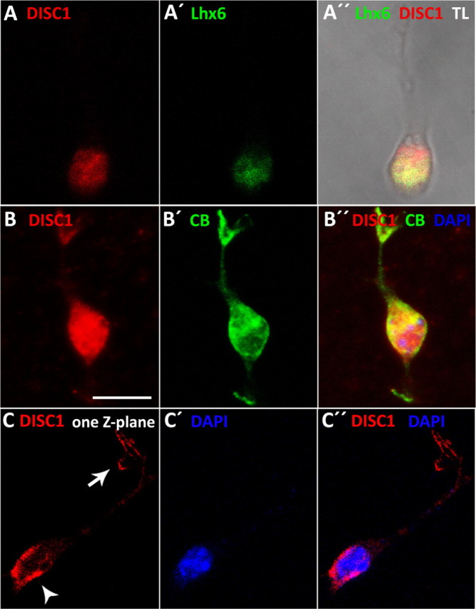 Figure 2.