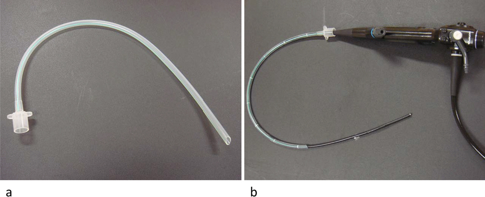 Fig. 1