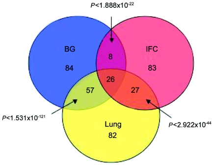 Figure  3. 