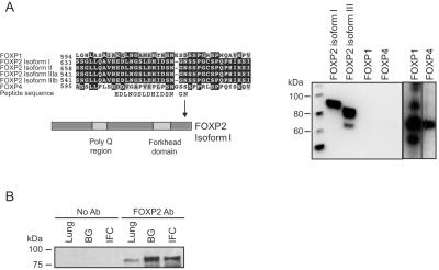 Figure  1. 