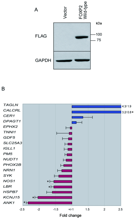 Figure  5. 