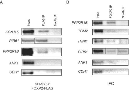 Figure  4. 