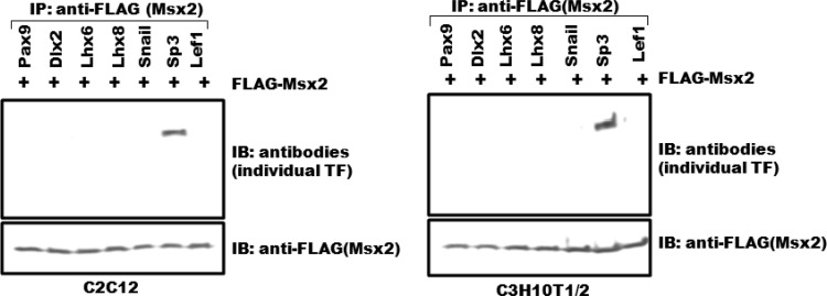 Fig 5