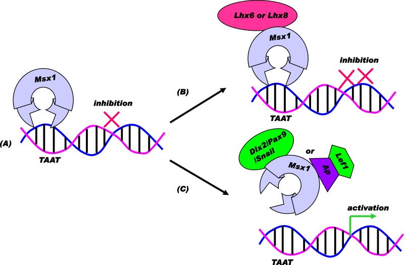 Fig 10